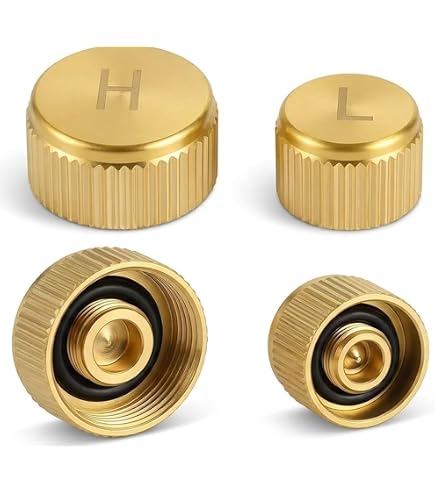 Amazon.com: Dorman 54374 Air Conditioning Service Port Caps